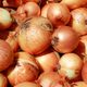 Pile of yellow onions